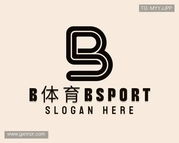 了解b体育bsport